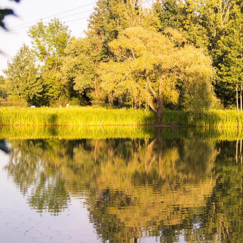 Camping Campilo Hotel Aubigny  Eksteriør billede